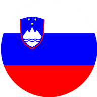 Flag 28
